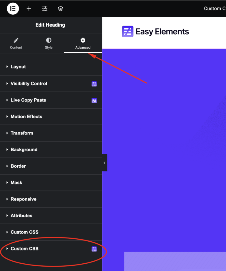 Custom CSS - Easy Elements Elementor Addons Builder